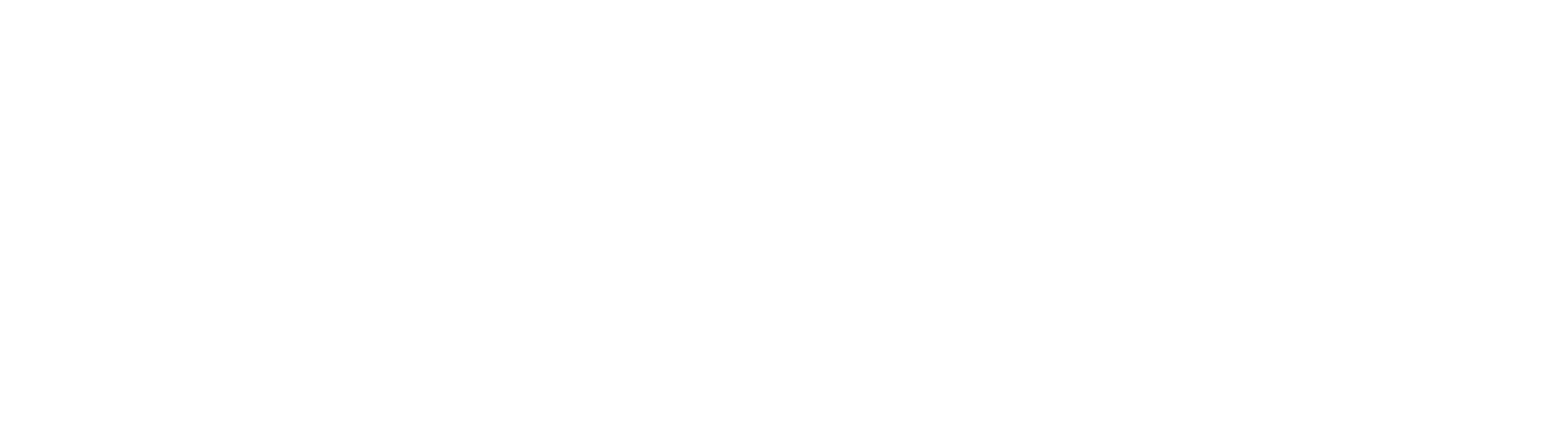 Somos Camaleón